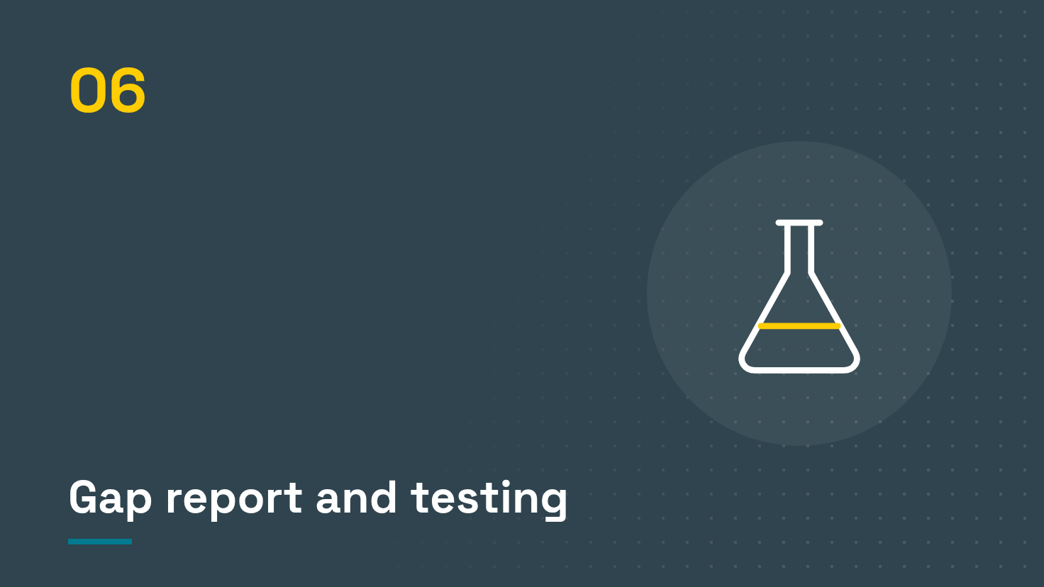 Step 06: gap report and testing