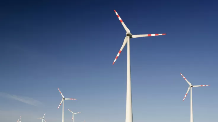 Sustainable packaging insight